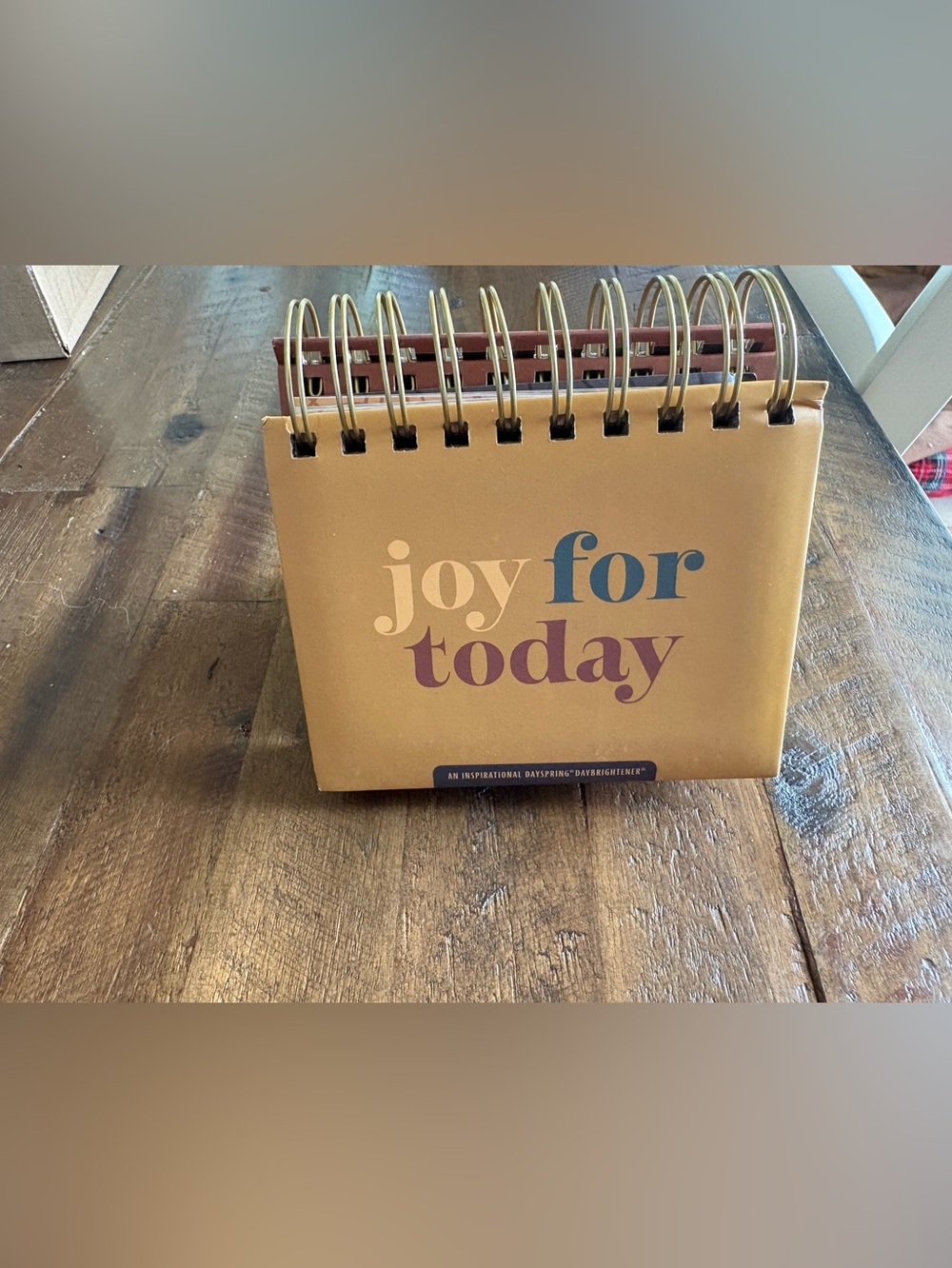 Joy for Today Desk Calendar - Gold